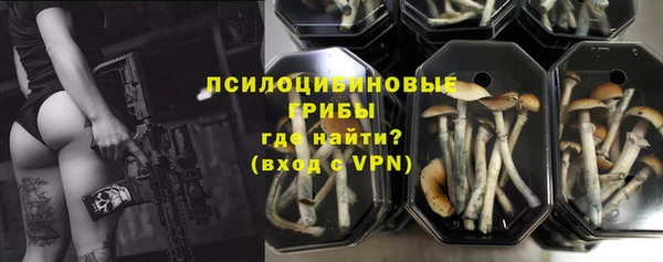 не бодяженный Новодвинск
