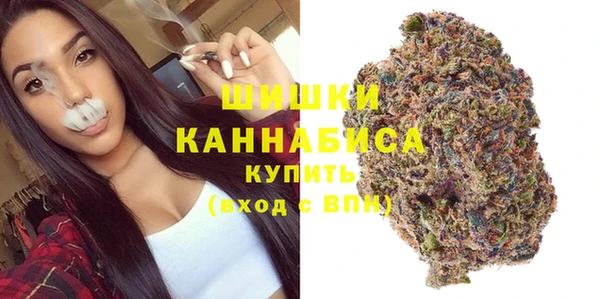не бодяженный Новодвинск