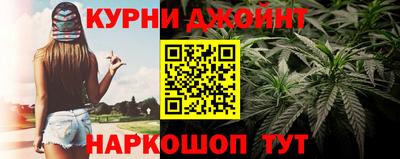 гидра Гагарин